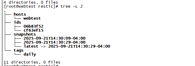 image-20250923221457876