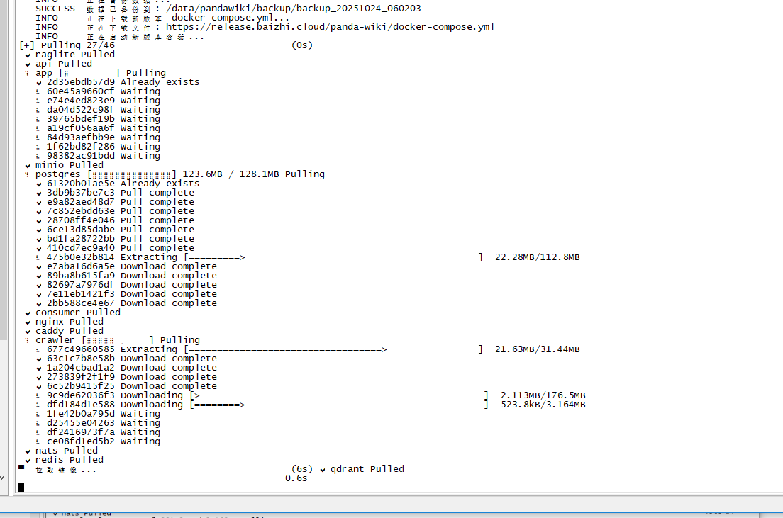 image-20251023220217387