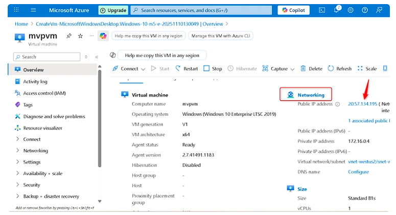 image-20251112225507938