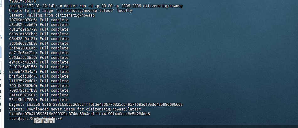 image-20251116213804457