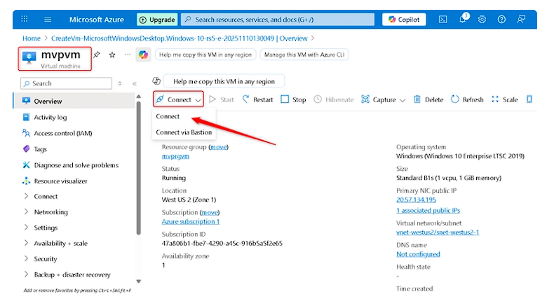 image-20251112225535442