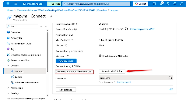 image-20251112225545881