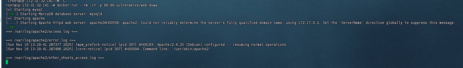 image-20251116212950874