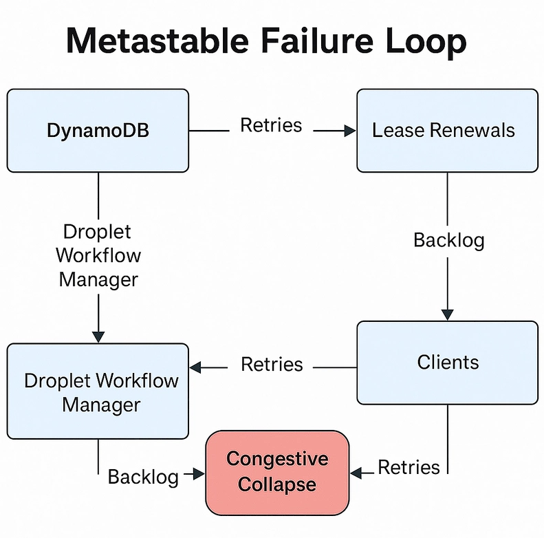 image-20251115235800266