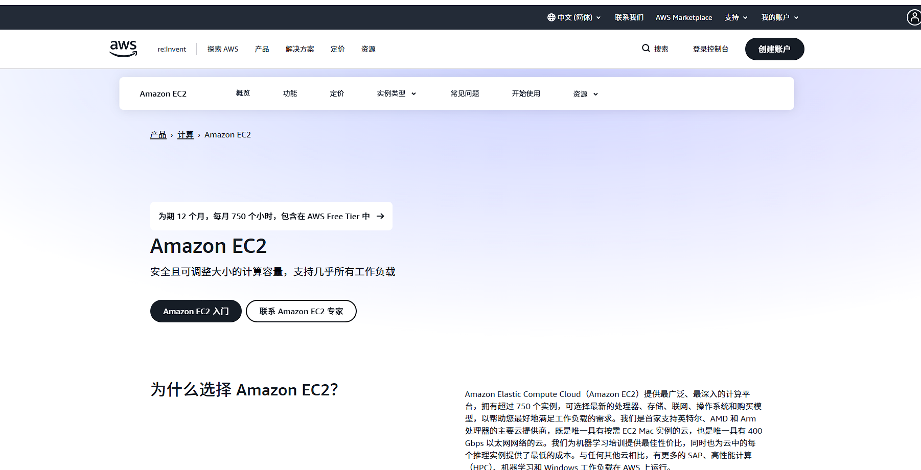 image-20251117222056235